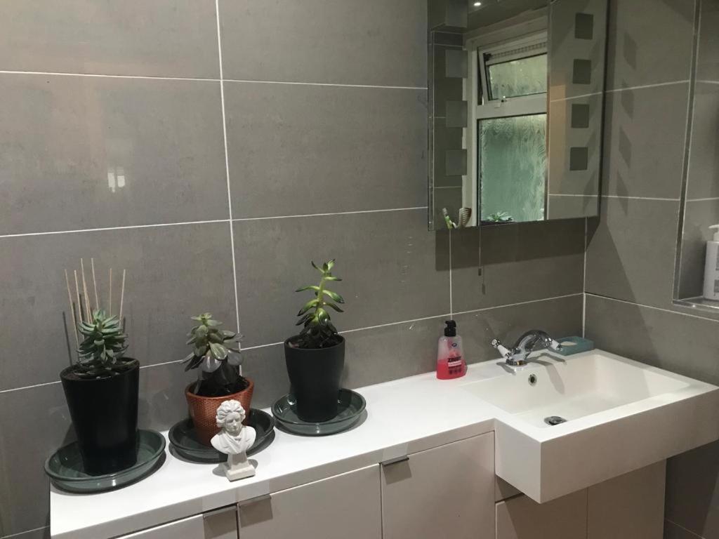 Serene Spacious Room Staines-upon-Thames Esterno foto