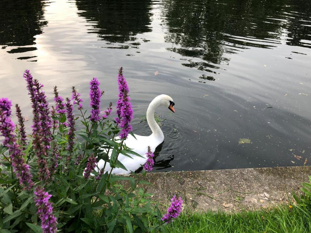 Serene Spacious Room Staines-upon-Thames Esterno foto